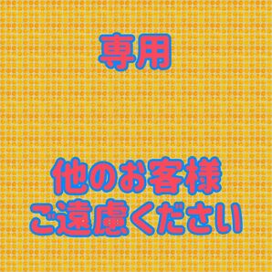 ★専用★ 8足おまとめ　KIVISDOU 靴下　セット　新品　未開封　匿名配送　送料込み　かわいいソックス 