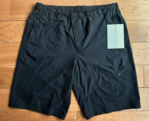 【国内正規】ARC'TERYX SYSTEM_A Paltz Short Black Ash Large アークテリクス システムエー パルツ ショーツ ブラック ショートパンツ L