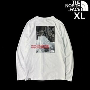 1円～!売切!【正規新品】THE NORTH FACE DOME BACK GRAPHIC L/S 長袖 Tシャツ ロンT US限定 コットン100％ 男女兼用 登山(XL)白180902-20