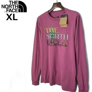 1円～!売切!【正規新品】THE NORTH FACE◆L/S GRAPHIC INJECTION TEE 長袖 Tシャツ ロンT US限定 男女兼用 キャンプ(XL)ピンク 180902-20の画像2