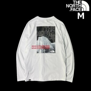 1円～!売切!【正規新品】THE NORTH FACE◆DOME BACK GRAPHIC L/S 長袖 Tシャツ ロンT US限定 グラフィック アウトドア(M)白 180902-20