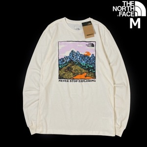 1円～!売切!【正規新品】THE NORTH FACE◆L/S GRAPHIC INJECTION TEE 長袖 Tシャツ ロンT US限定 グラフィック 上質(M)白 180902-5