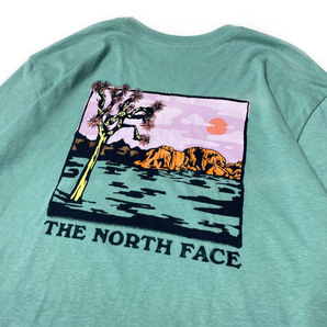 1円～!売切!【正規新品】THE NORTH FACE◆L/S GRAPHIC INJECTION TEE 長袖 Tシャツ ロンT US限定 バックプリント キャンプ(XXL)緑 180902-5の画像4