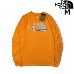 1円～!売切!【正規新品】THE NORTH FACE◆L/S GRAPHIC INJECTION TEE 長袖 Tシャツ ロンT US限定 メタリックシルバー(M)オレンジ 180902-5の画像1