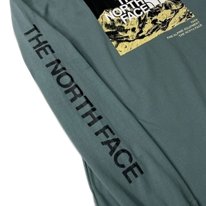 1円～!売切!【正規新品】THE NORTH FACE◆LONG SLEEVE LOGO PLAY TEE 長袖 Tシャツ ロンT US限定 袖ロゴ 落描き風 上質(XXL)青 180902-20の画像5