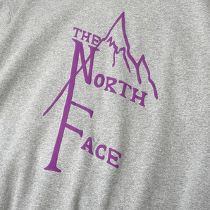 1円～!売切!【正規新品】THE NORTH FACE SHORT SLEEVE 1966 HOODIE パーカー US限定 立体ロゴ 裏起毛 上質 男女兼用(XL)グレー 181130-33の画像5