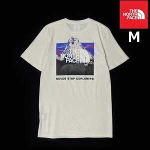 1円～!売切!【正規新品】THE NORTH FACE SHORT SLEEVE BOX NSE TEE 半袖 Tシャツ US限定 ボックスロゴ キャンプ 男女兼用(M)白 180902-15