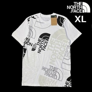 1円～!売切!【正規新品】THE NORTH FACE◆S/S GRAPHIC INJECTION TEE 半袖 Tシャツ US限定 グラフィック 男女兼用 キャンプ(XL)白180902-15