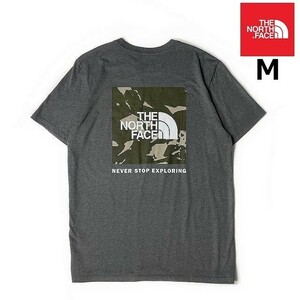 1円～!売切!【正規新品】THE NORTH FACE◆SHORT-SLEEVE PRINTED NSE TEE 半袖 Tシャツ US限定 ボックスロゴ 男女兼用(M)グレー 180902-13