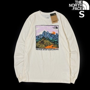 1 jpy ~! selling up![ regular new goods ]THE NORTH FACE*L/S GRAPHIC INJECTION TEE long sleeve T shirt long T US limitation graphic fine quality (S) white 180902-5