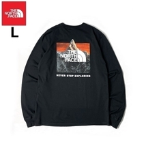 1円～!売切!【正規新品】THE NORTH FACE◆L/S BOX NSE TEE 長袖 Tシャツ ロンT US限定 ボックスロゴ バックプリント(L)黒 180902-20_画像3