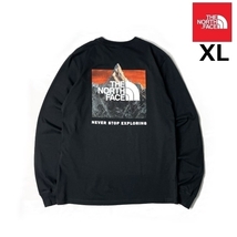 1円～!売切!【正規新品】THE NORTH FACE◆L/S BOX NSE TEE 長袖 Tシャツ ロンT US限定 ボックスロゴ バックプリント(XL)黒 180902-20_画像1