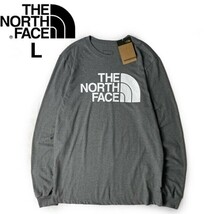 1円～!売切!【正規新品】THE NORTH FACE◆L/S HALF DOME TEE 長袖 Tシャツ ロンT US限定 ハーフドームロゴ 男女兼用(L)グレー 180902-18_画像3