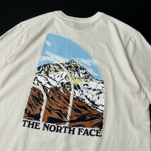 1円～!売切!【正規新品】THE NORTH FACE◆S/S GRAPHIC INJECTION TEE 半袖 Tシャツ US限定 ビッグロゴ グラフィック 上質(XXL)白 180902-15_画像4