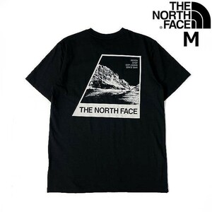 1円～!売切!【正規新品】THE NORTH FACE◆S/S LOGO PLAY TEE 半袖 Tシャツ US限定 1966 グラフィック 男女兼用 アウトドア(M)黒 180902-15