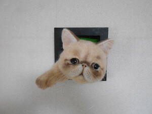 Art hand Auction ☆إطار صورة قطة غريبة مصنوعة يدويًا من اللباد الصوفي☆, لعبة, لعبة, لعبة محشوة, شعر الصوف