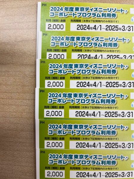 東京ディズニーリゾート コーポレートプログラム利用券　2000円　6枚　　　　2025年3/31まで