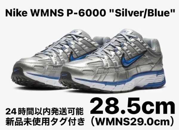 Nike WMNS P-6000 "Silver/Blue" 28.5cm