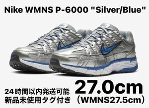 Nike WMNS P-6000 "Silver/Blue" 27.0cm