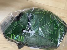 【非売品】埼玉西武ライオンズ 来場者限定配布 高橋光成投手監修キッズ グローブ 右利き用 少年野球_画像3