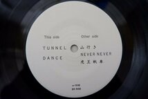 Y3-101＜7inch/美品＞Funx / Konigs Tiger_画像4