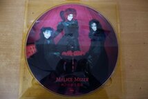 Y3-185＜LP/ピクチャー盤/美品＞MALICE MIZER / 再会の血と薔薇_画像4