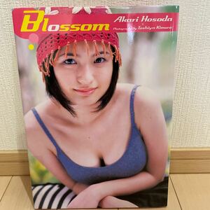 Ｂｌｏｓｓｏｍ　Ａｋａｒｉ　Ｈｏｓｏｄａ 木村智哉／撮影