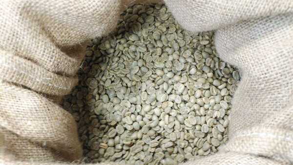 コーヒー生豆100g×8袋(ブラジル,マンデリン,グアテマラ,タンザニア)