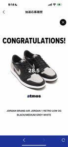 Nike Air Jordan 1 Retro Low OG 