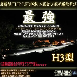 H3 LED ヘッドライト ロービーム ハイビーム フォグランプ 爆光 WS55 光軸調整可 CANBUS 防塵防水 コスパ最強