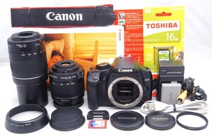 ●美品●初心者入門スタートセット● Canon キャノン EOS Kiss X2 純正 Wレンズセット●すぐに撮影OK●女性ならではの丁寧な対応で安心