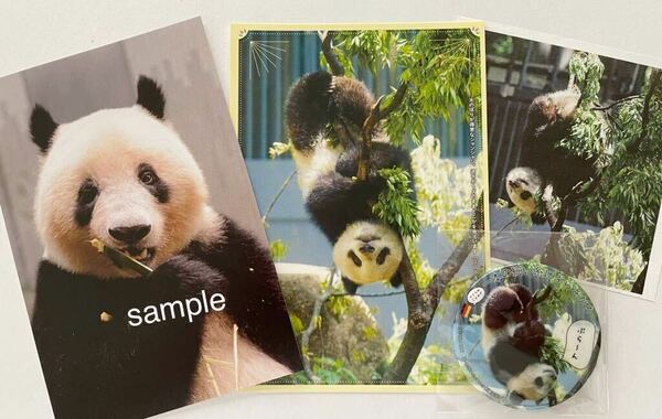 シャンシャン 貴重 受注終了 上野動物園公式写真ポストカード ＆ 非売品 限定缶バッジ　お揃いポストカード・切り抜き ジャイアントパンダ