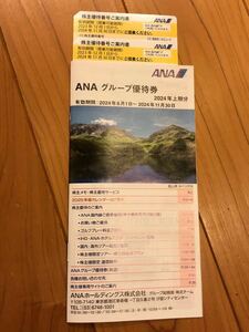 ANA 全日空　株主優待券2枚　グループ優待券1冊　11月30日まで