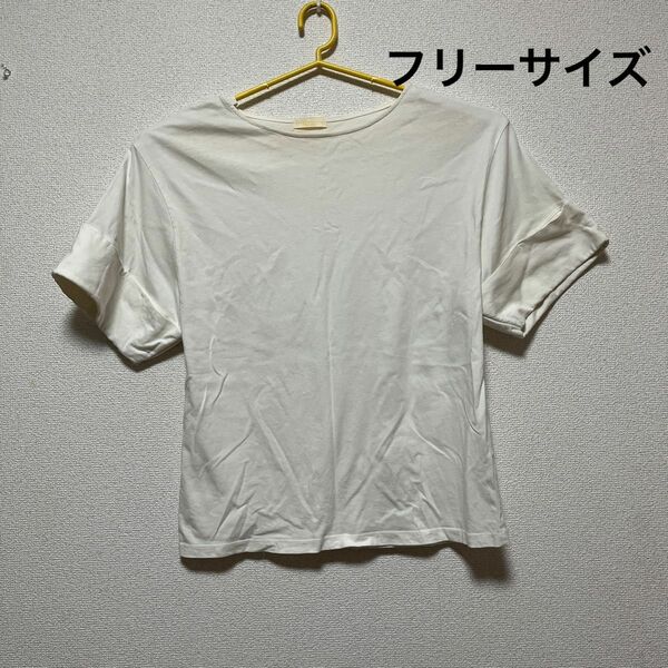 Tシャツ 半袖 ホワイト　F