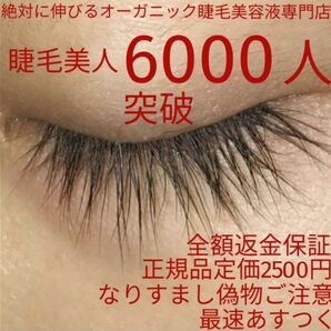 神ってる効果抜群魔法の12ミリ巻き上げ！睫毛美人6000人愛用、マツエク卒業！まつげ育成専門店魔法の無添加まつ毛美容液1本