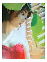 AG574 宮脇咲良（HKT48）◆切り抜き 10ページ 切抜き 水着 ビキニ_画像6