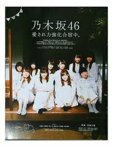 AA469 Nogizaka 46[ love .. power strengthen .. middle.] west . 7 . white stone flax .. wistaria . bird deep river flax . Hashimoto .. not yet raw piece ..* scraps 16 page cut pulling out 