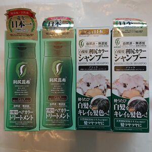 利尻カラーシャンプーB ブラック白髪用200ml 2本ヘアカラートリートメント ブラック白髪用200g2本 計4本