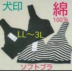 綿100%【２枚◆LL～3L】マタニティブラジャー マタニティブラ スポーツブラ ナイトブラ ブラック