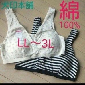 綿100%【２枚◆LL～3L】マタニティブラジャー マタニティブラ ソフトブラ ナイトブラ スポブラ