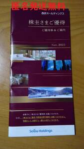 【匿名発送無料】西武ホールディングス 株主優待券冊子1冊 有効期限2024年5月31日