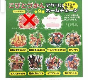 こびとづかん　アクリルネームチェーン　8点セット