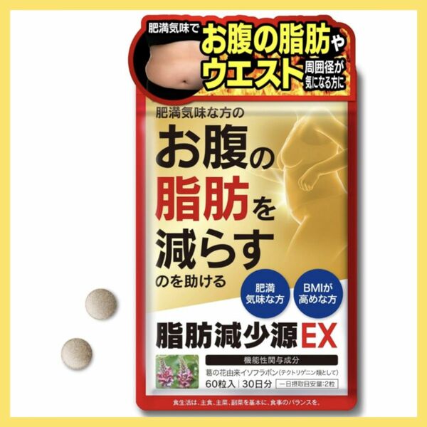 脂肪減少源 EX 60粒入り　肥満気味　体重 お腹の脂肪 ウエスト周囲径 減らすのを助ける 機能性表示食品 日本製 