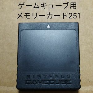 GC　メモリーカード251　任天堂純正品　ゲームキューブ