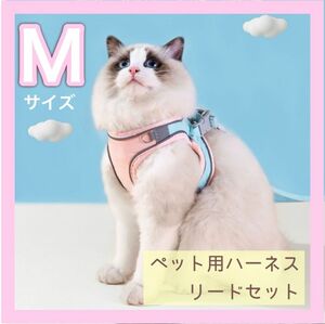 新品【Mサイズ】リード付き ハーネス 犬 猫 散歩 簡単装着 水色＋ピンク