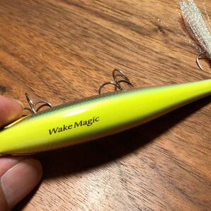 X★超美品★EVERGREEN エバーグリーン WAKE MAGIC“BONE MODEL”ウェイクマジック“ボーンモデル“「ビッグバイトチャートメタルN」の画像3