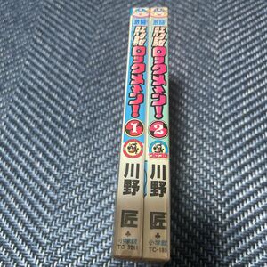 激闘エグゼ兄弟ロックメ~ン！ 川野匠 全２巻セット ロックメーン ゆるい ロックマン 小学館 コロコロ