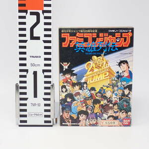 未使用品 バンダイ ファミコンジャンプ 英雄列伝 週刊少年ジャンプ創刊20周年記念 箱・説明書あり ファミコン