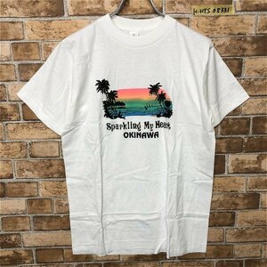 タグなし新品！メンズ レディース 沖縄 スーベニア 半袖Tシャツ M 白