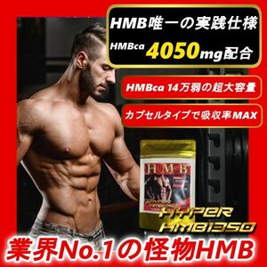 HMB amount 13 ten thousand super. high-spec!! 1 bead 1350mg.UP did industry top HMB 100 pills [ my protein 2 ps weak minute | build muscle * metal muscle 3 sack minute ]